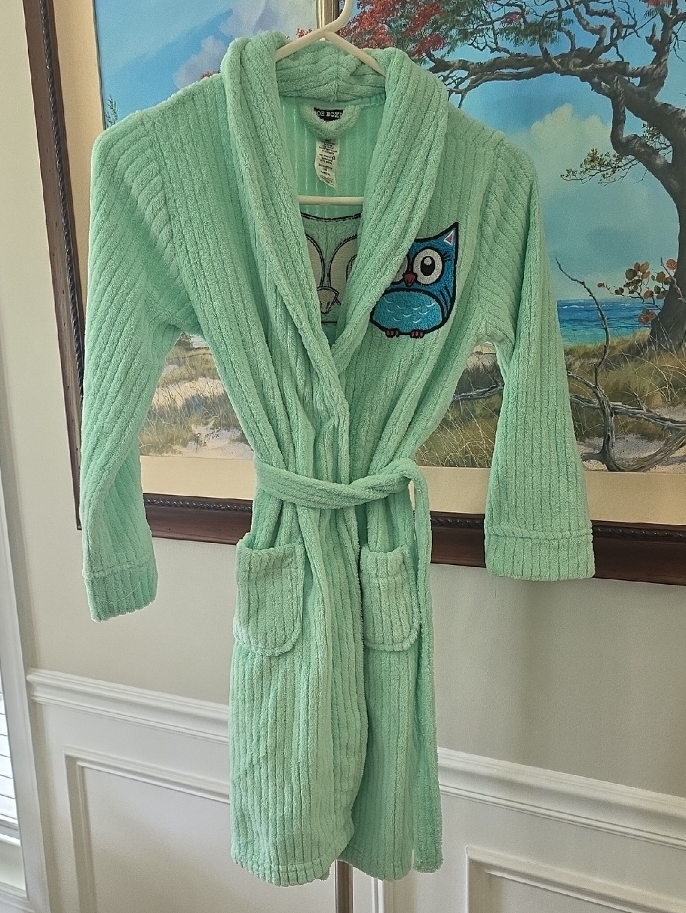 Joe Boxer Mint Green Plush Kids Robe with Owl Embroidery